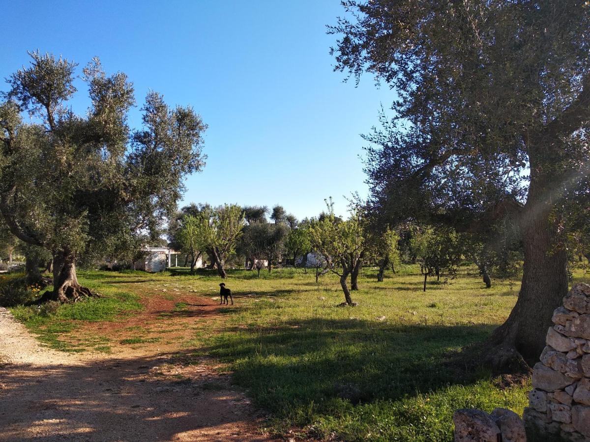 Piccolo Trullo Ostunese Le Jardin De Sophie' オストゥーニ エクステリア 写真