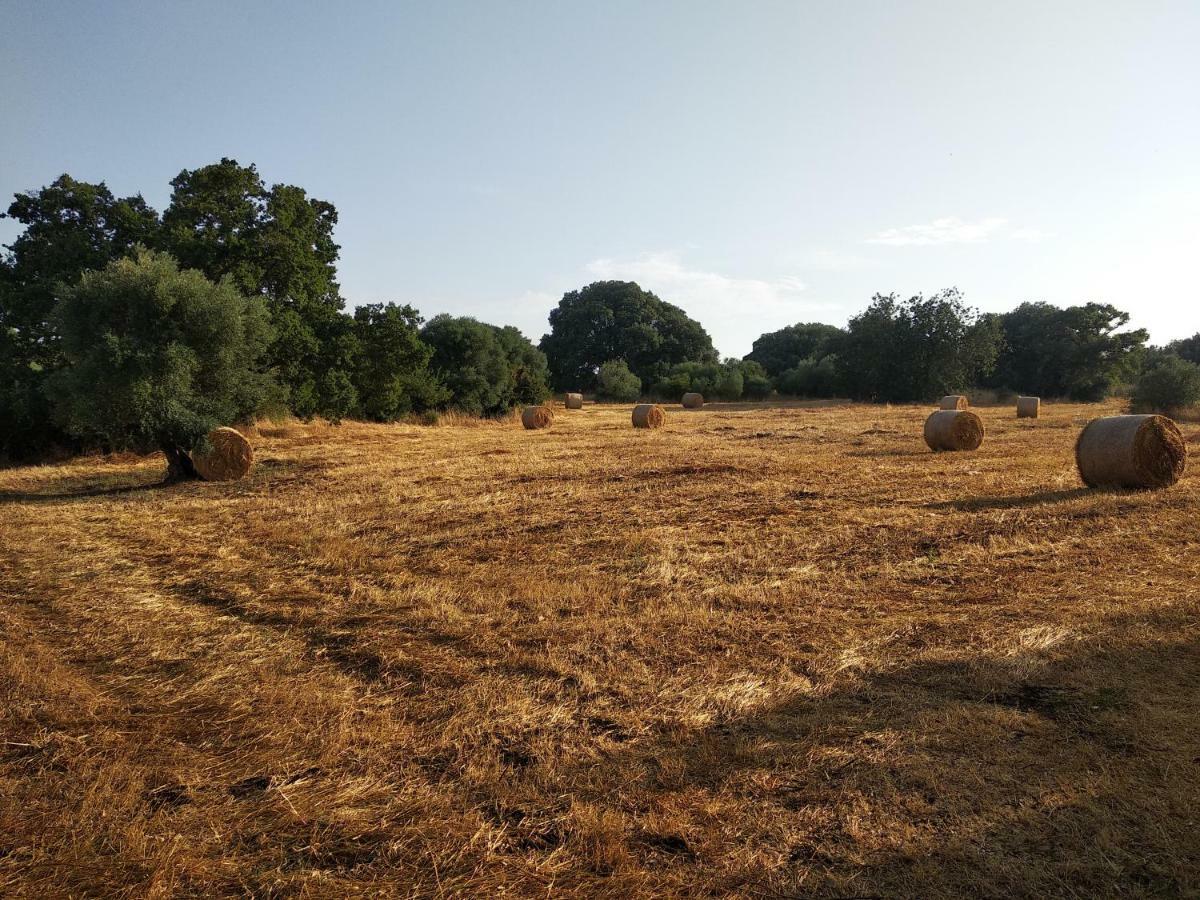 Piccolo Trullo Ostunese Le Jardin De Sophie' オストゥーニ エクステリア 写真