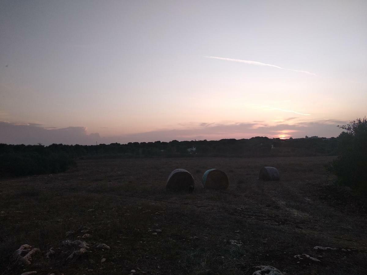Piccolo Trullo Ostunese Le Jardin De Sophie' オストゥーニ エクステリア 写真